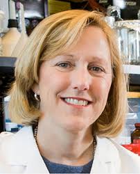 Mathematical Modeling of the Gut–Bone Axis and Implications of Butyrate  Treatment