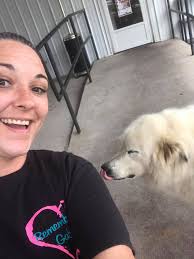 Out for lunch today spotted this polar bear dog 👍