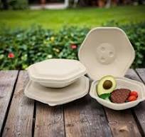 China compostable disposable bio Hexagonal sugarcane bagasse ...