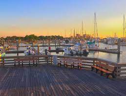 Please find conference lodging before you register. Things To Do At Amelia Island In Winter Luggage And Lipstick