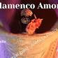 Flamenco Amor event image