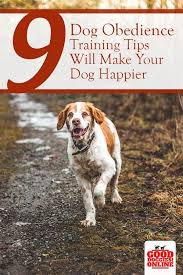 9 Essential Dog Obedience Training Tips Skills Good Doggies Online Dog Training Obedience Dog Obedience Obedience Training