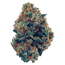 Buds are dense and frosty, bearing dark purple and green leaves . Zkittlez Aka Skittles Skittlz Island Zkittlez Weed Strain Information Leafly
