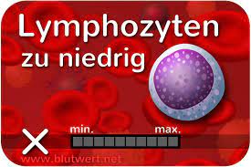 Zu Wenig Lymphozyten Blutwert Lymph Vermindert Zu Niedrig Lymphozytopenie