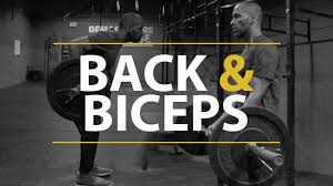 six back and bicep workouts