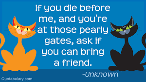 Wish someone a beautiful day. Cute Friendship Quotes And Messages Quotabulary