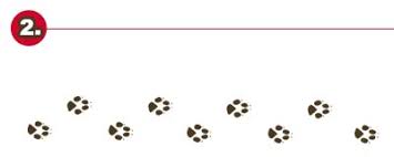 40 tierspuren zum ausdrucken kostenlos besten bilder von ausmalbilder from lh3.googleusercontent.com. Tierspuren Memory Tierspuren Zum Ausdrucken Kostenlos Tiere Und Ihre Spuren Wunderwerkstatt Tierspuren 1 Fahrten Gemse Hirsch Wildschwein Dachs Randeeg Either