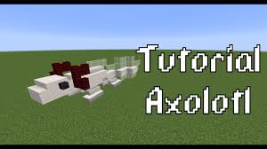 Here a drawing and 3d model i made in celebration for 1.17 update in minecraft. Axolotl Minecraft Map