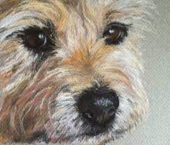 Voir plus d'idées sur le thème chien, animaux, peinture. A Pastel Painting Of Lily A Border Terrier Cross Dog Portraits Animal Paintings Dog Paintings