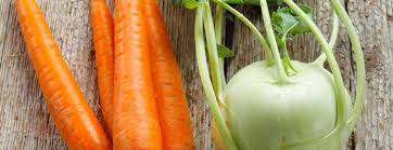 Rezept Fur Veganen Salat Mit Leinol Dr Johanna Budwig Mohren Salat Kohlrabi Mohren