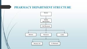 Hospital Pharmacy Organizational Chart Related Keywords