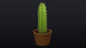 Potted plants cactus plants cactus flower indoor cactus planter pots texture flowers models 3d. 3d Ornamental Pot Plant Cgtrader