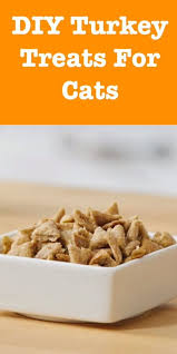 Homemade Cat Treats Tasty Turkey Triangles In 2020 Homemade Cat Food Cat Treats Homemade Pet Treats Recipes