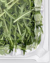 Download Transparent Plastic Container With Arugula Mockup Top View In Pot Tub Mockups On Yellow Images Object Mockups