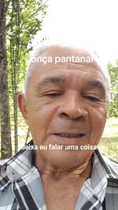 #onca pintada#pantanal