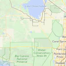 Dr. William Wittenborn, MD