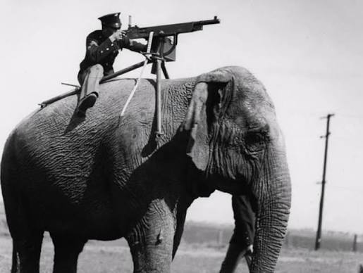 Elephants flee with guns during 1892 India military maneuver