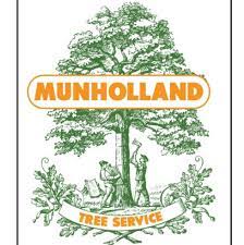 Whether you need tree trimming or complete tree care services, our skilled arborists are here to help you. Mulholland Tree Surgery Home Facebook