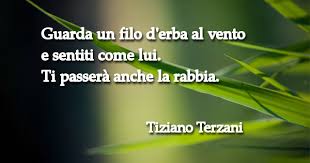 Altre frasi, citazioni, aforismi di tiziano terzani. Immagine Come Un Filo D Erba Tiziano Terzani