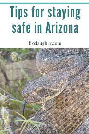 Rattlesnakes live in california and arizona. Rattlesnakes In Arizona Live Laugh Rv