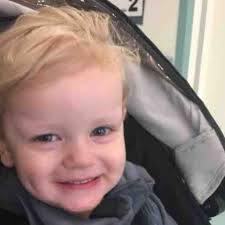 Fundraiser for Anneke Hardy by Sue Kidd : Harrison Hero