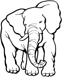 Elephant drawing elephant drawing pencil animal illustration simple. Free Elephant Coloring Pages Zoo Animal Coloring Pages Animal Coloring Pages Elephant Coloring Page