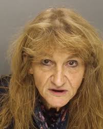 Seven Dealers Charged with Distributing Methamphetamine, Fentanyl in Rural  Northern Pa.