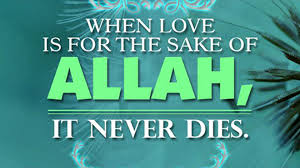 Image result for ISLAMIC