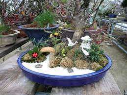 Mini Garden Japanese Garden Japanese Garden Landscape Miniature Garden