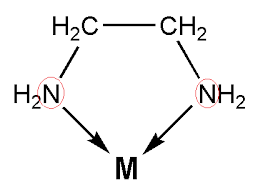 (c) in this example, the coordination sphere has a cationic charge of 2+. Ethylenediamine Is An Example Of A Monodentate Ligand Class 11 Chemistry Cbse