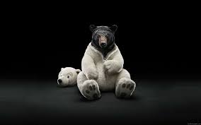 Black bear mom and cubs wallpaper border. Hd Wallpaper Black Bear In Polar Bear Costume White And Black Bear Plush Toy Wallpaper Flare
