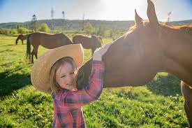 Последние твиты от colorado dude & guest ranch association (@colorado_ranch). Colorado Luxury Ranch Resort Vista Verde Ranch