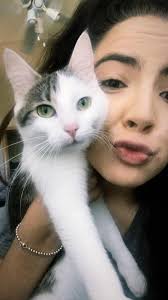 Our little kitty escaped last night and hasn't come home yet. If any  Burbank st friends in millbury or sutton spot her please let me know!