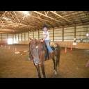 CIRCLE B STABLES - Updated May 2024 - 22 Photos - 5815 Root Rd ...
