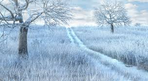 Winter Snow Meadow 3d Model Turbosquid 3d Model Nature 3d Sky