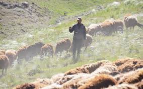 Milyonlarca gencin saatlerce ter döktüğü yks oturumları tamamlandı. Fenomen Coban Karadag Aylik Sosyal Medya Kazancini Acikladi Global Bursa