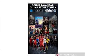 Mola tv logo png : Mola Tv Gandeng Hbo Go Hadirkan Tayangan Premium Antara News