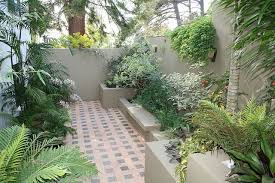 Foliage Texture And Contrast In A North Facing Courtyard Small North Facing Garden Ideas North Facing Garden Small Courtyard Gardens