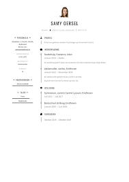 Cv Voorbeeld 2020 20 Gratis Voorbeeld Cv S In Pdf En Word