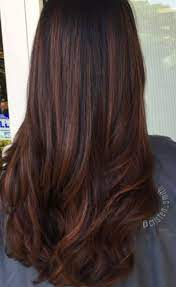 Pin By Kristina Hanna On Hair Color Ideas Indian Hair Color Long Hair Color Hair Color For Black Hair