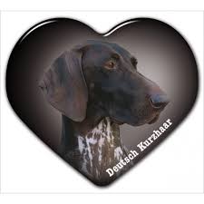 Image result for německý ohař krátkosrstý