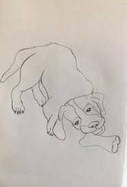 How to draw dogs | 30 tutorials. Puppy Chewing On A Bone
