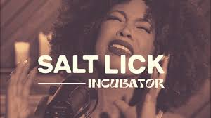 Meet the Team — Salt Lick Incubator