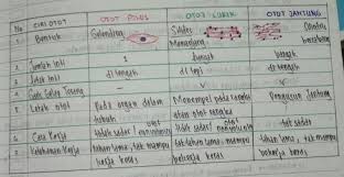 Otot menyebabkan pergerakan suatu organisme ataupun pergerakan dari organ dalam fascia merupakan jaringan ikat gabungan dari jaringan fibrus dan areolar dapat membungkus dan menghimpun otot menjadi satu. Sebutkan 3 Jenis Jaringan Otot Jelaskan Perbedaan Jaringan Otot Dilihat Dari Bentuk Jumlah Brainly Co Id