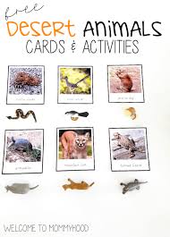 Montessori Activities Desert Animals 3 Part Cards Language Activities Montessori Activities Desert Animals Language Activities