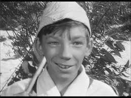 Вопрос к Перцу