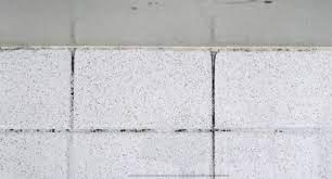 Pin On Mold Remover Problems