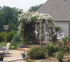 Check spelling or type a new query. Planting New Dawn Roses A Farmhouse Reborn