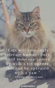 Please Log In Terry Pratchett Cat Quotes Cute Funny Animals