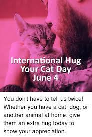 With cats making up a large proportion of these companion animals, it's no wonder that international recognition days are featuring domestic animals. International Hug Your Cat Day June 4 You Don T Have To Tell Us Twice Whether You Have A Cat Dog Or Another Animal At Home Give Them An Extra Hug Today To